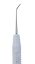 PDT Calcium Hydroxide Placement