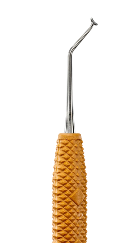 PDT Pineyro Arch™ Ti 2