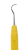 PDT Montana Jack® (Clark)