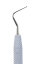 PDT Calcium Hydroxide Placement