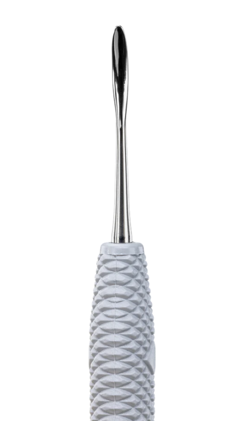 PDT 2/29 Burnisher